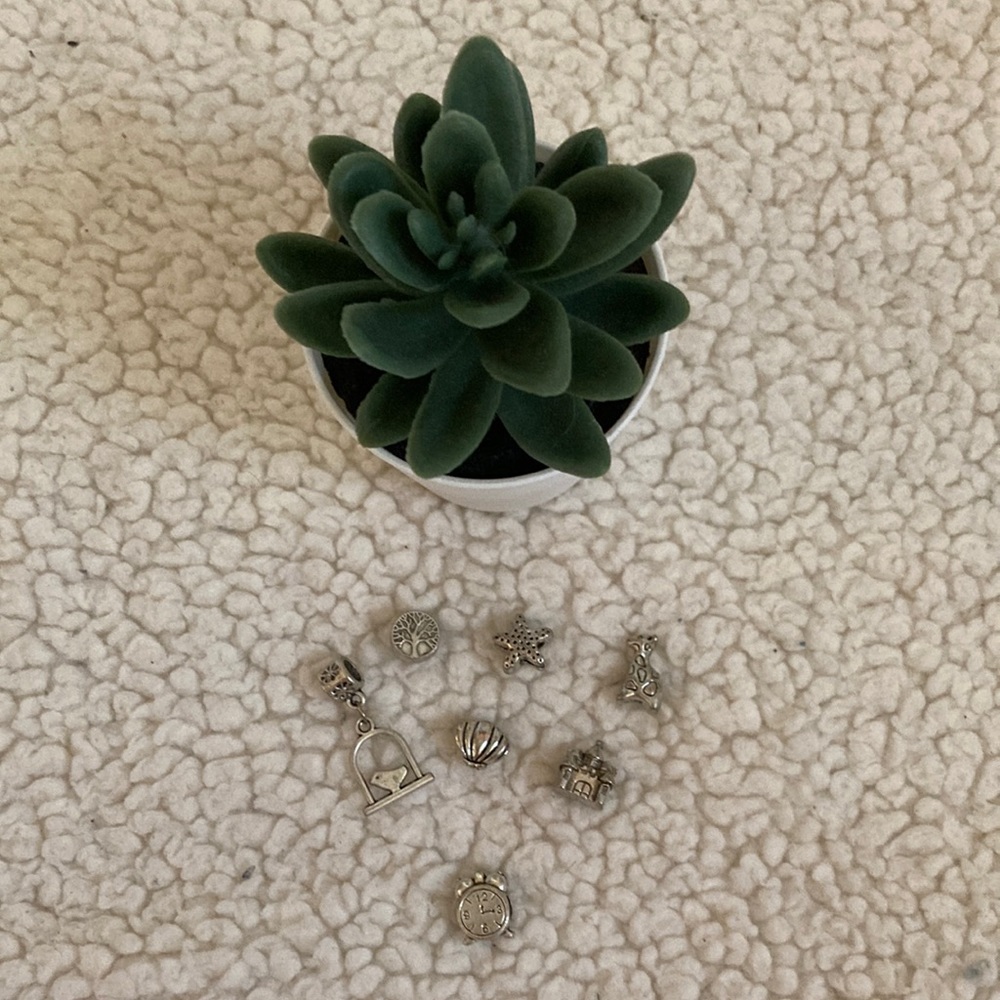 Five assorted charm bracelet charms and mesh bag